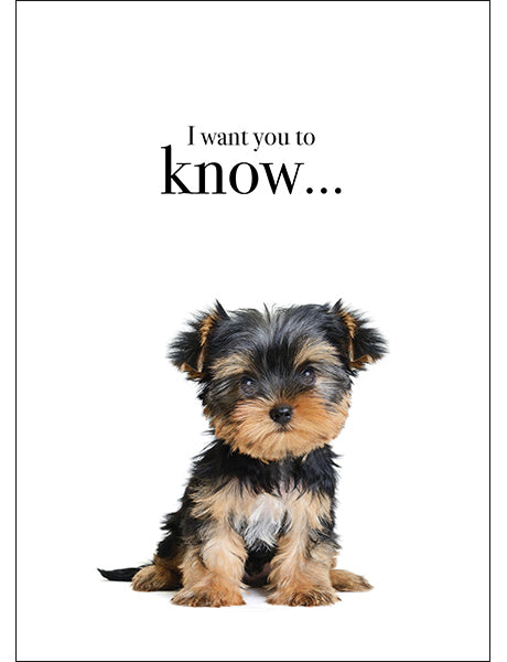 Animal Affirmations Card - I Want You To Know... (Puppy)