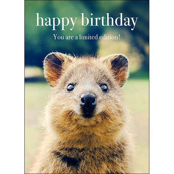 Animal Affirmations Card - Happy Birthday (Quokka)