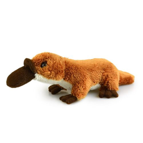 Platypus Plush Toy (Lil Friends)