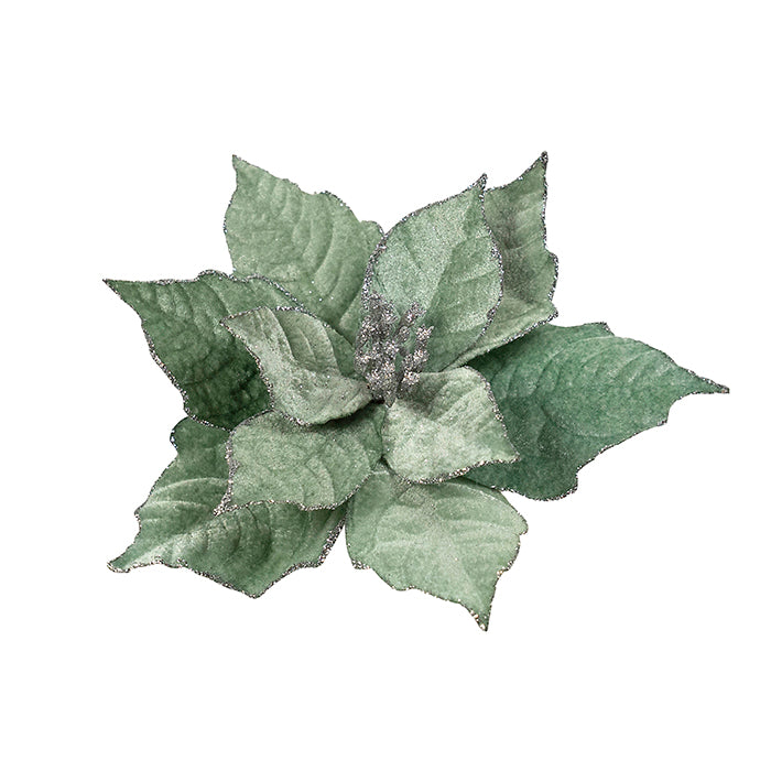 Green with Silver Poinsettia