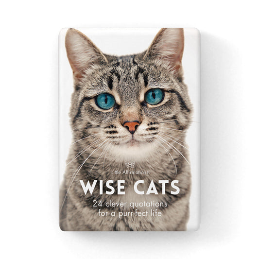 Little Affirmations Cards - Wise Cats
