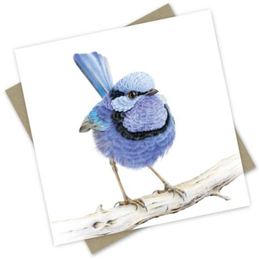 Card - Australian Collection: “Waru” the Fairy Wren