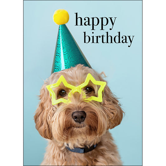 Animal Affirmations Card - Happy Birthday, You Party Animal! (Dog)