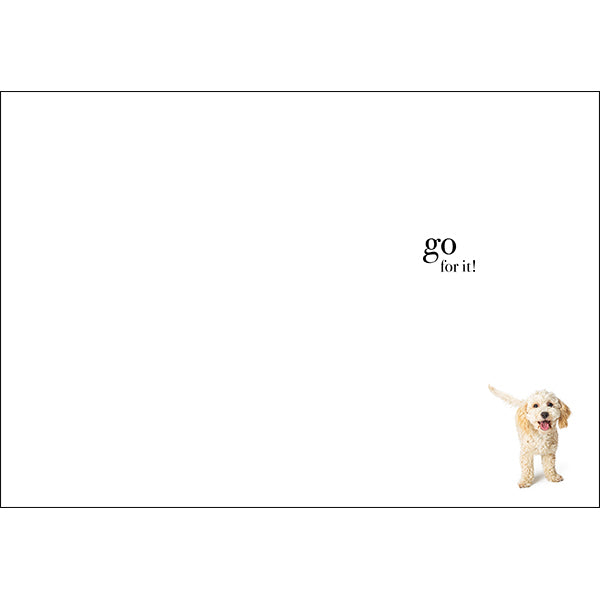 Animal Affirmations Card - New Adventure (Dog)