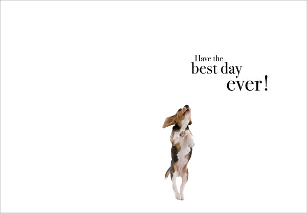 Animal Affirmations Card - Happy Birthday (Puppy)