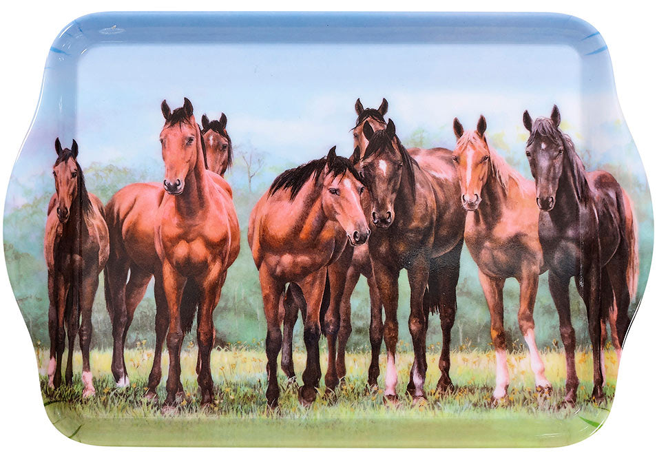 Beauty of Horses - In the Pasture Scatter Tray