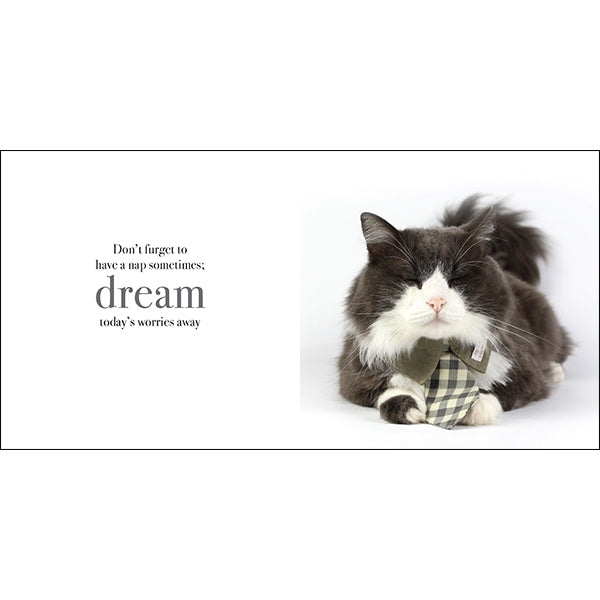 The Power of Meows - Inspirational Book