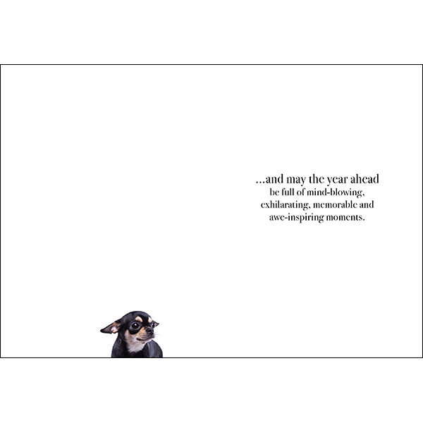 Animal Affirmations Card - Happy Birthday (Chihuahua)