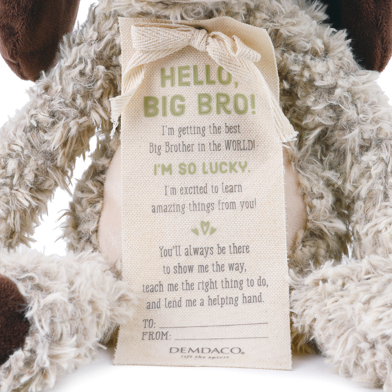 Gift From New Baby - Hello, Big Bro! Puppy