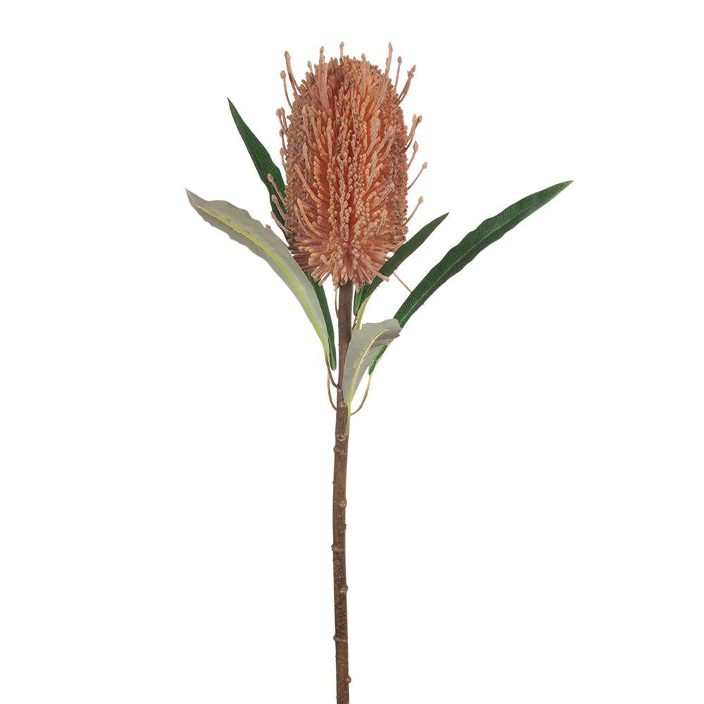 Coastal Banksia - Soft Pink 58cm