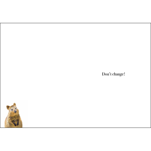 Animal Affirmations Card - Happy Birthday (Quokka)