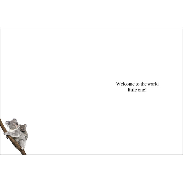 Animal Affirmations Card - A Grand Adventure is About to Begin (Koala)