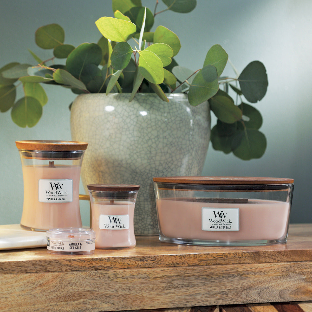 WoodWick Medium Candle - Vanilla & Sea Salt