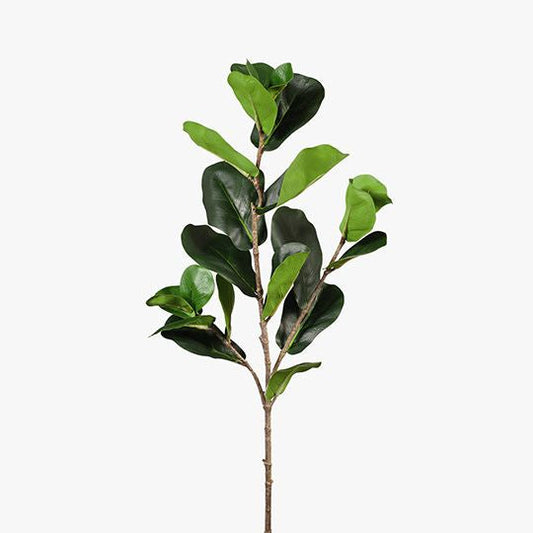 Fiddle Leaf Spray - Light Green 73cm