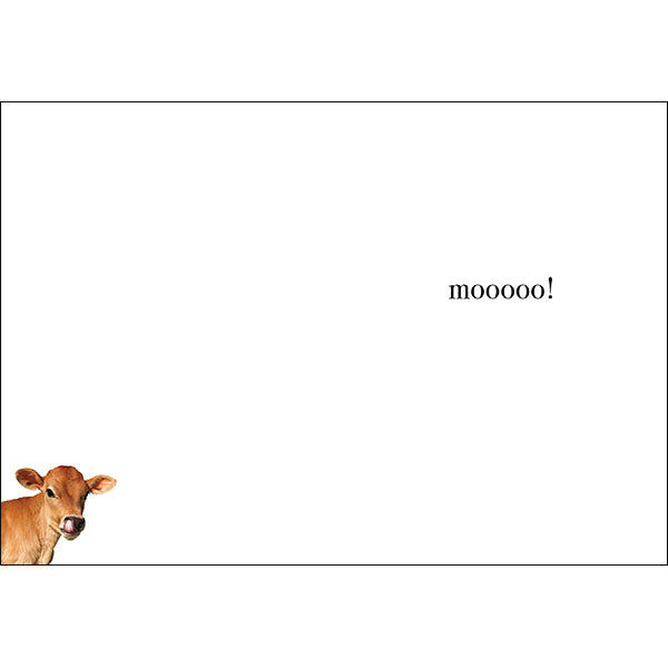 Animal Affirmations Card - Udderly Fabulous (Cow)