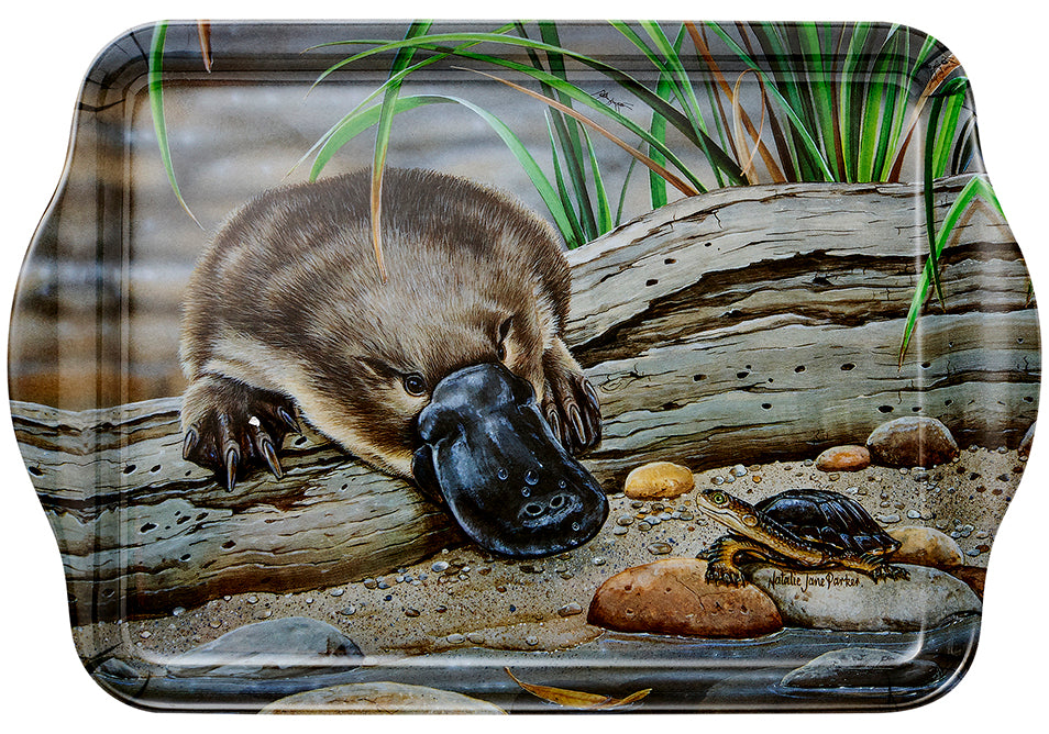 Fauna of Aus - Platypus & Turtle Scatter Tray