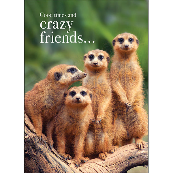 Animal Affirmations Card - Good Times and Crazy Friends (Meerkats)