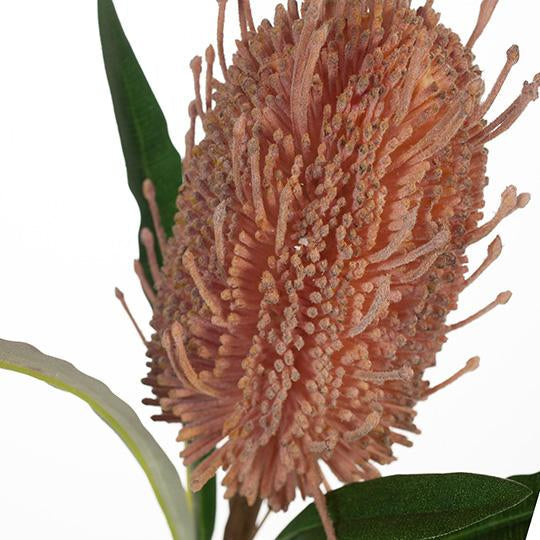 Coastal Banksia - Soft Pink 58cm