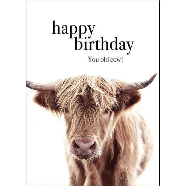 Animal Affirmations Card - Happy Birthday, You Old Cow!