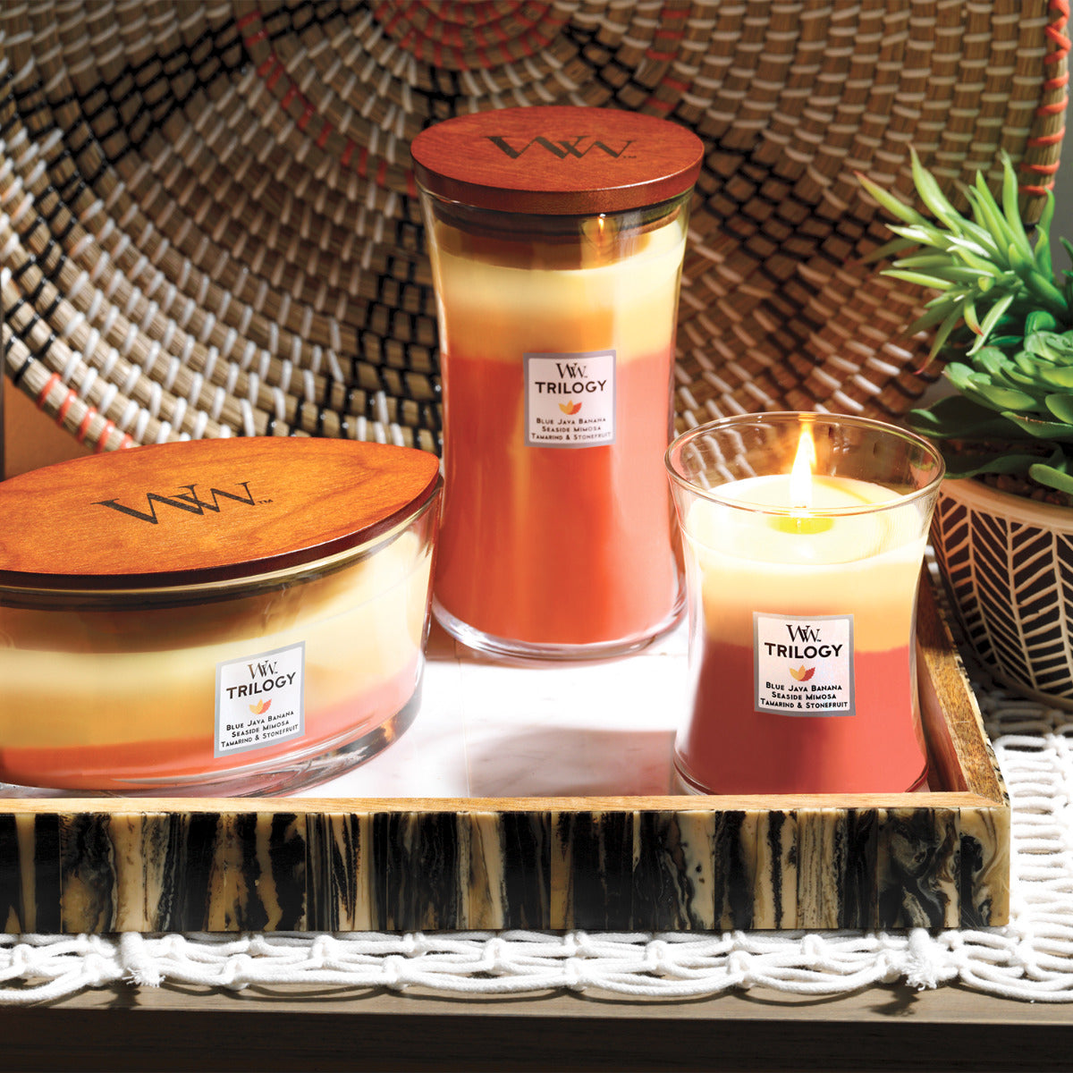 WoodWick Medium Trilogy Candle - Tropical Sunrise