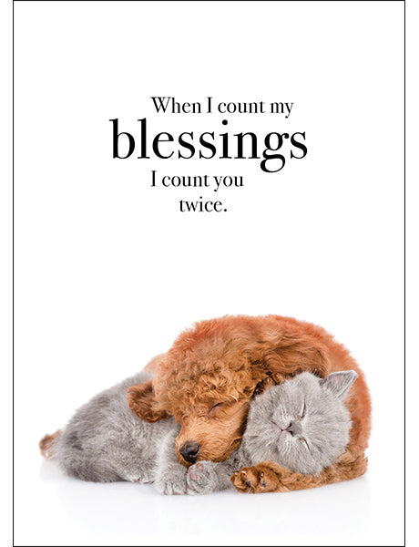 Animal Affirmations Card - When I Count My Blessings (Puppy & Kitten)