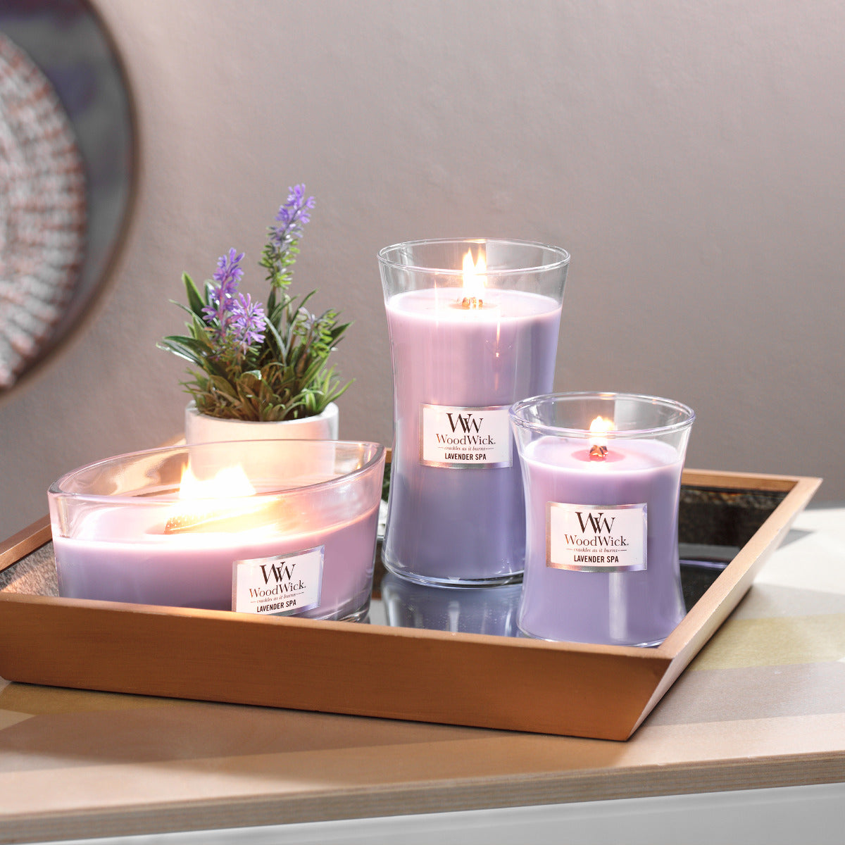 WoodWick Large Candle - Lavender Spa