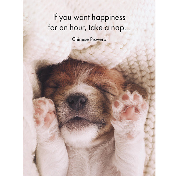 Little Affirmations Cards - Live Love Bark