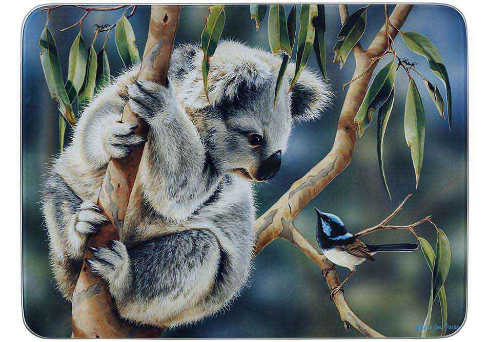 Fauna Of Aus - Koala & Wren Surface Protector