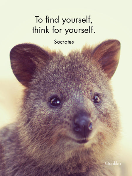 Little Affirmations Cards - Fair Dinkum Originals