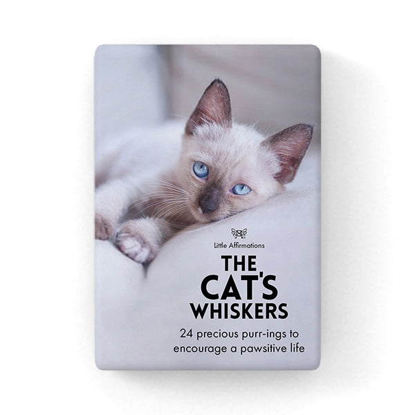 Little Affirmations Cards - The Cat’s Whiskers