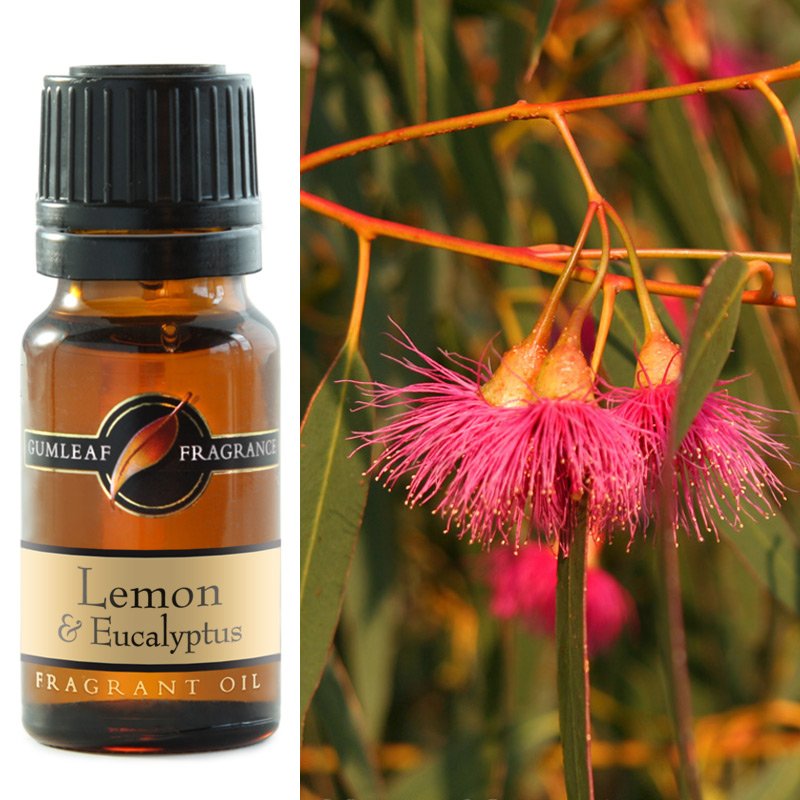 Fragrance Oil - Lemon & Eucalyptus