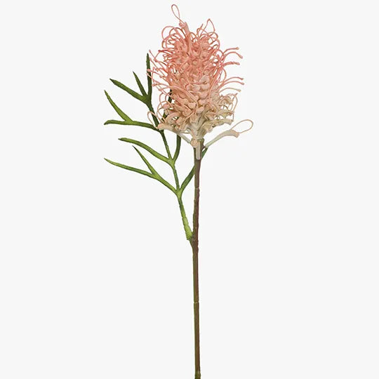 Grevillea - Pink 63cm