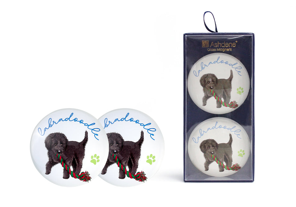 Oodles of Oodles - Labradoodle 2PK Magnet