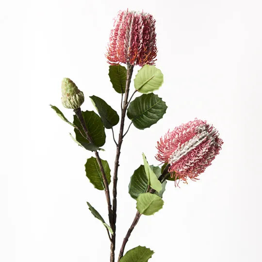 Banksia Spray - Dark Pink 71cm