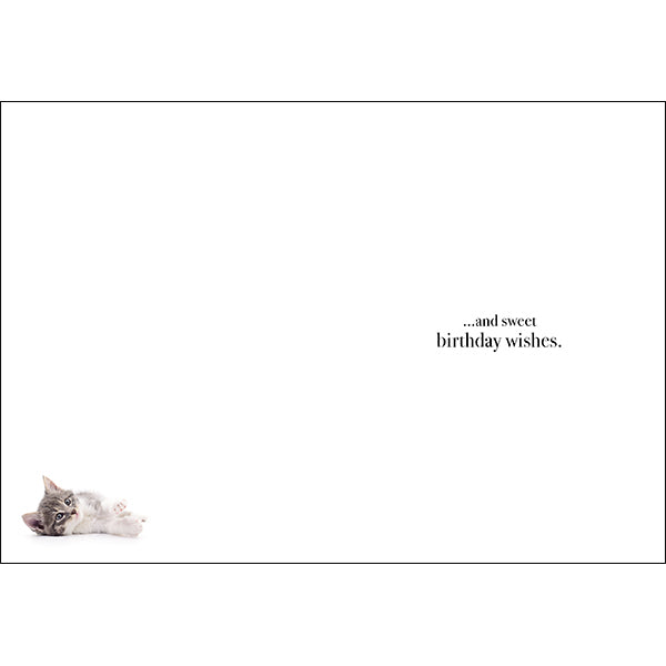 Animal Affirmations Card - Cuddles and Kisses (Cats)