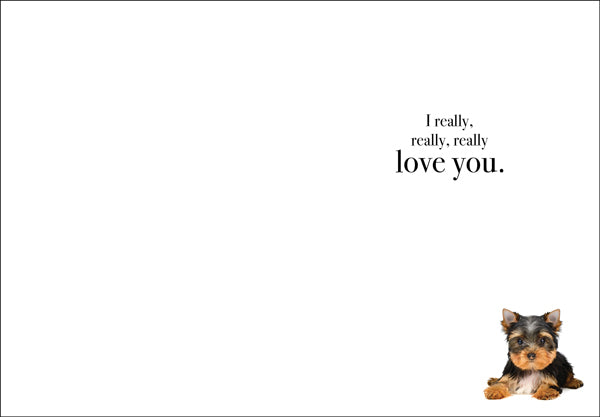 Animal Affirmations Card - I Want You To Know... (Puppy)