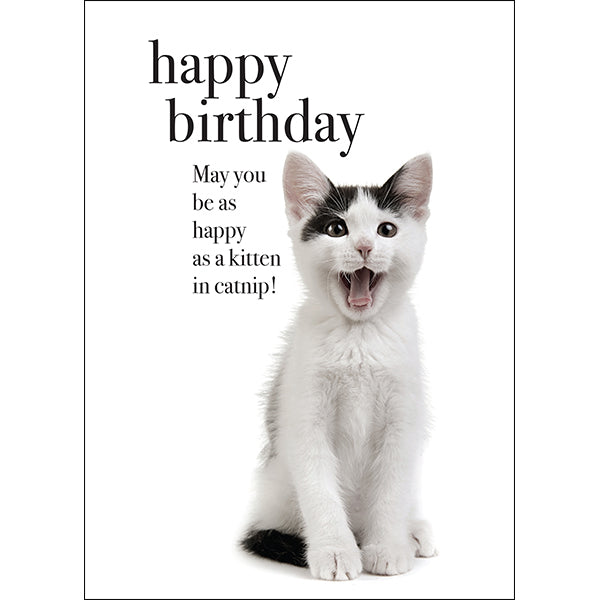 Animal Affirmations Card - Happy Birthday (Kitten In Catnip)