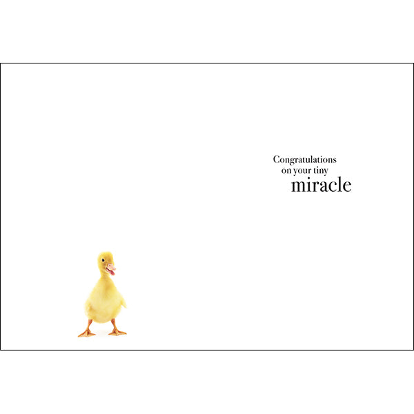 Animal Affirmations Card - Welcome to Your Little One (Duckling)
