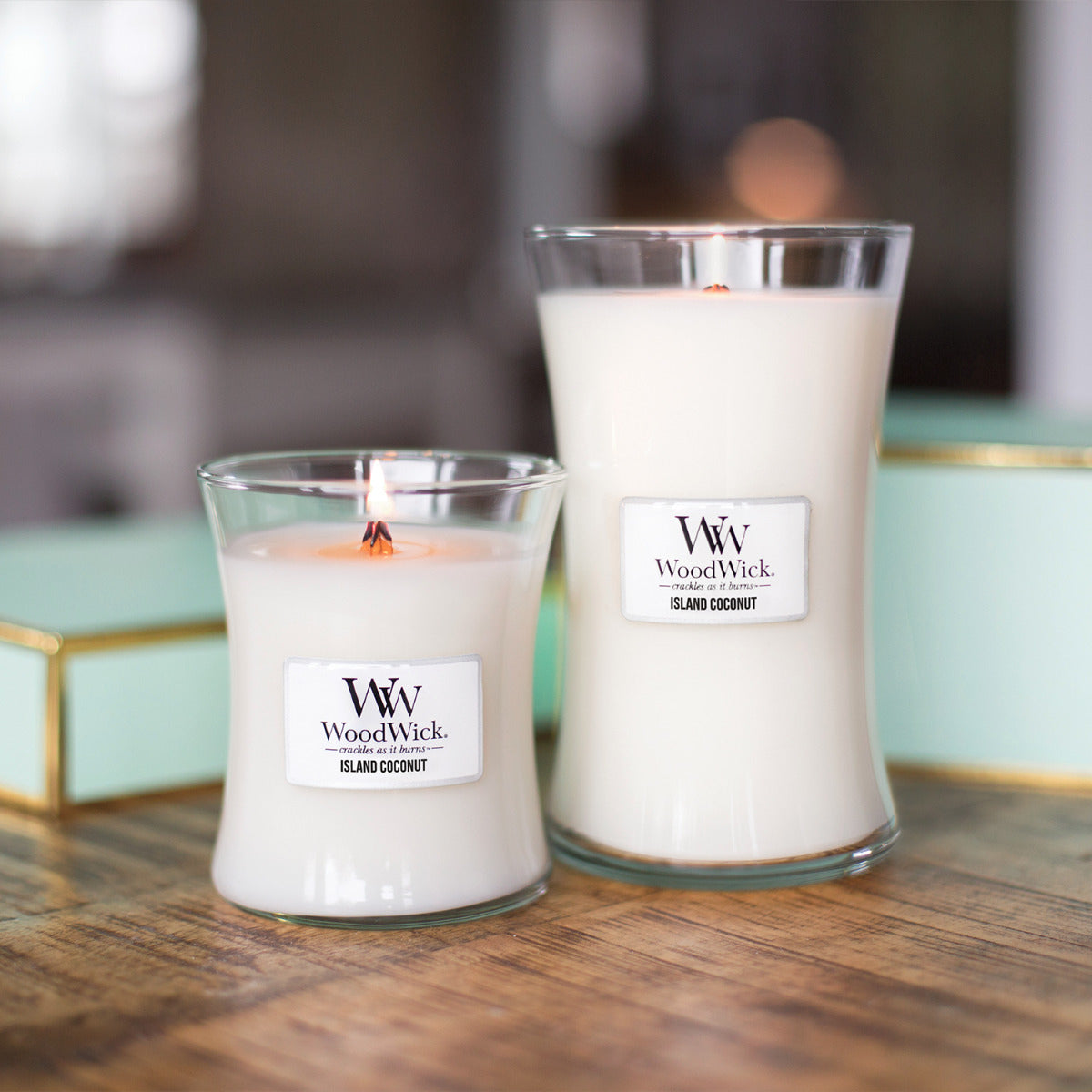 WoodWick Medium Candle - Island Coconut