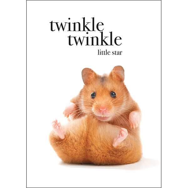 Animal Affirmations Card - Twinkle Twinkle Little Star