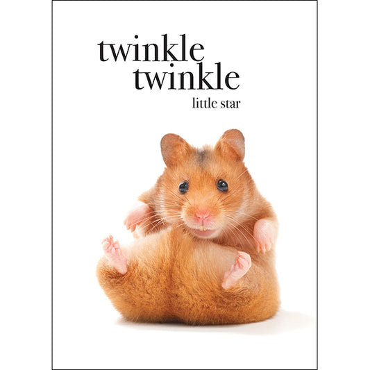 Animal Affirmations Card - Twinkle Twinkle Little Star