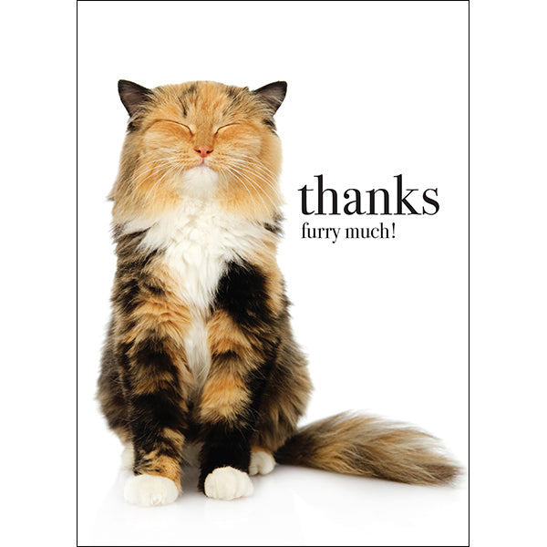 Animal Affirmations Card - Thanks Furry Much! (Cat)