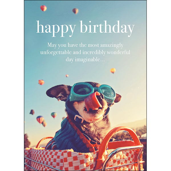 Animal Affirmations Card - Happy Birthday (Chihuahua)