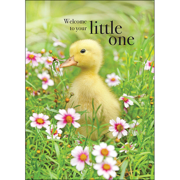 Animal Affirmations Card - Welcome to Your Little One (Duckling)