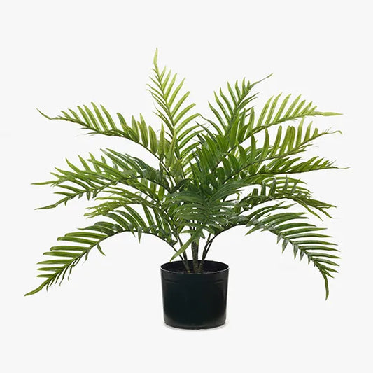 Palm Areca Plant - Green 63cm