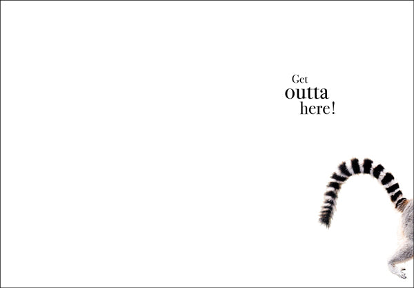 Animal Affirmations Card - OMG! Another Birthday? (Lemur)