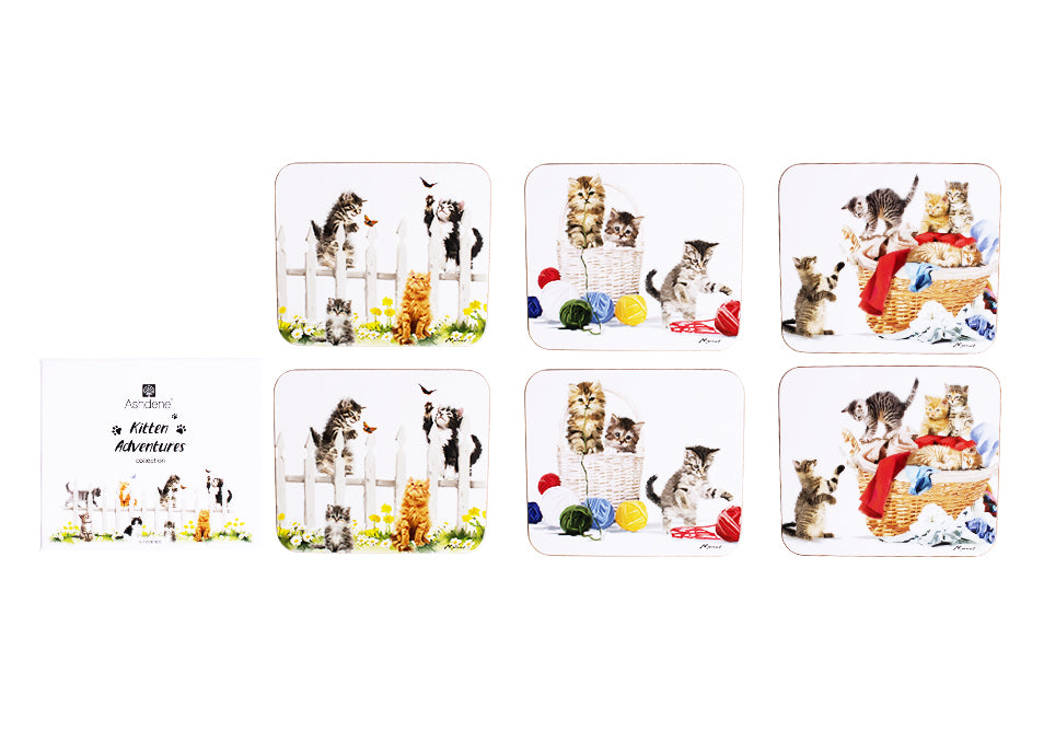 Kitten Adventures - Coaster 6PK