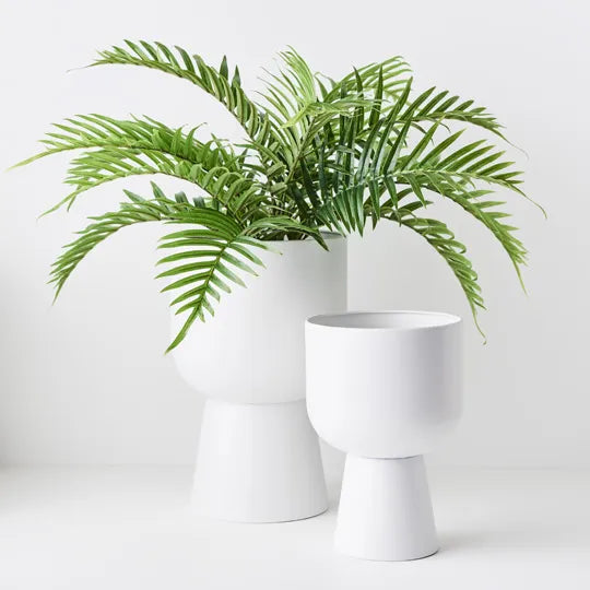 Palm Areca Plant - Green 63cm
