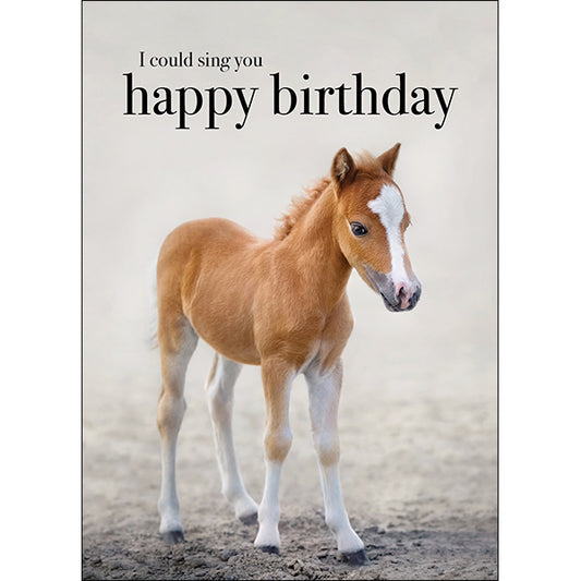 Animal Affirmations Card - I Could Sing You Happy Birthday (Horse)