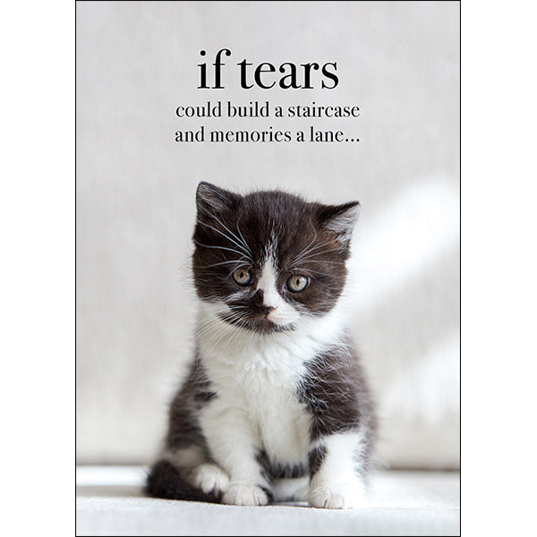 Animal Affirmations Card - If Tears Could Build A Staircase (Kitten)